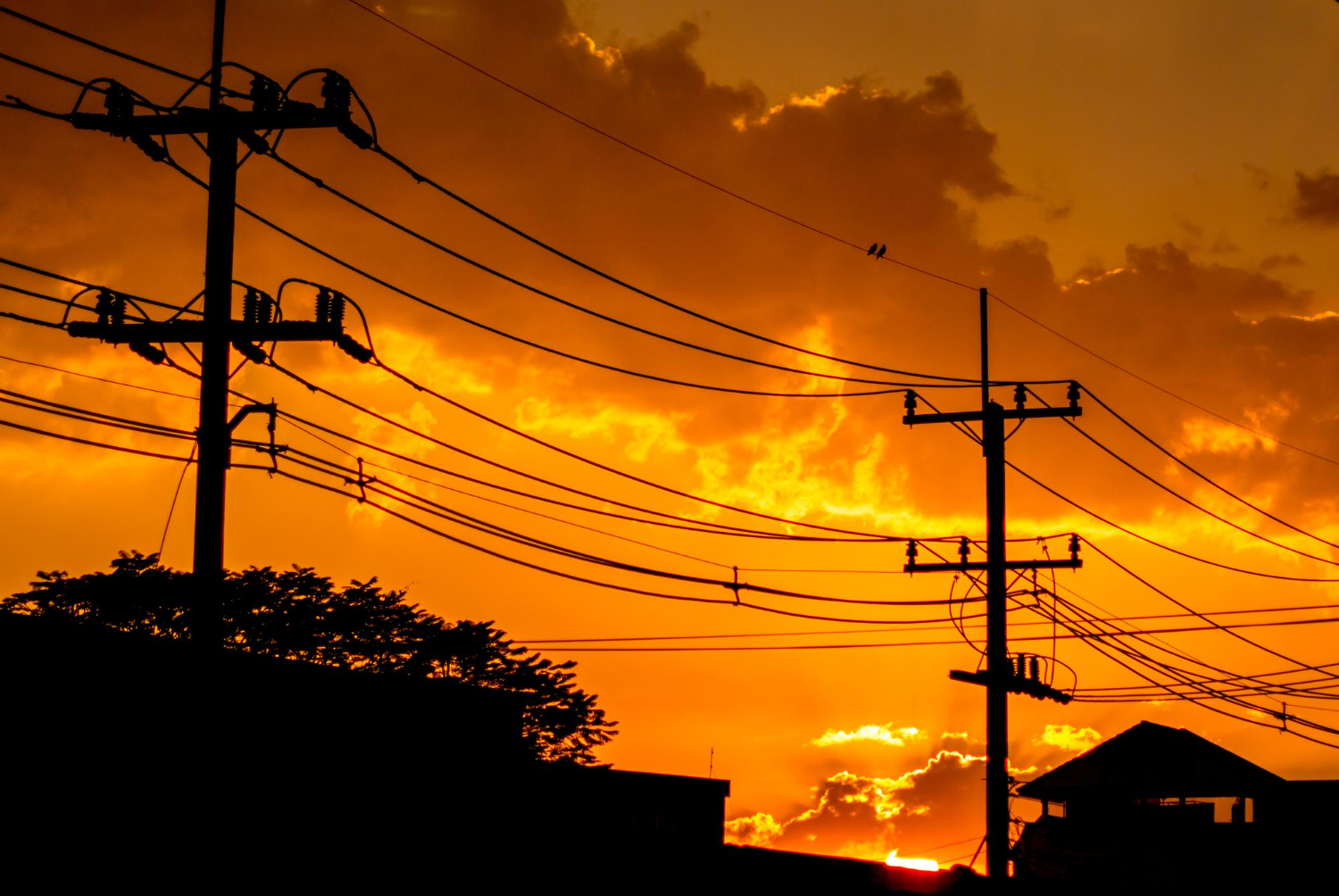 Energia elétrica