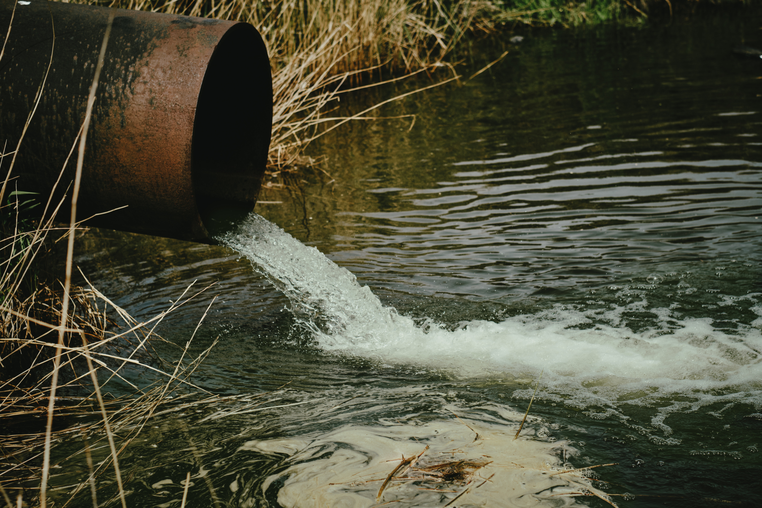 poluição / contaminação de rio