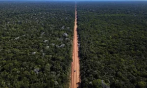 Rodovia floresta estrada de terra