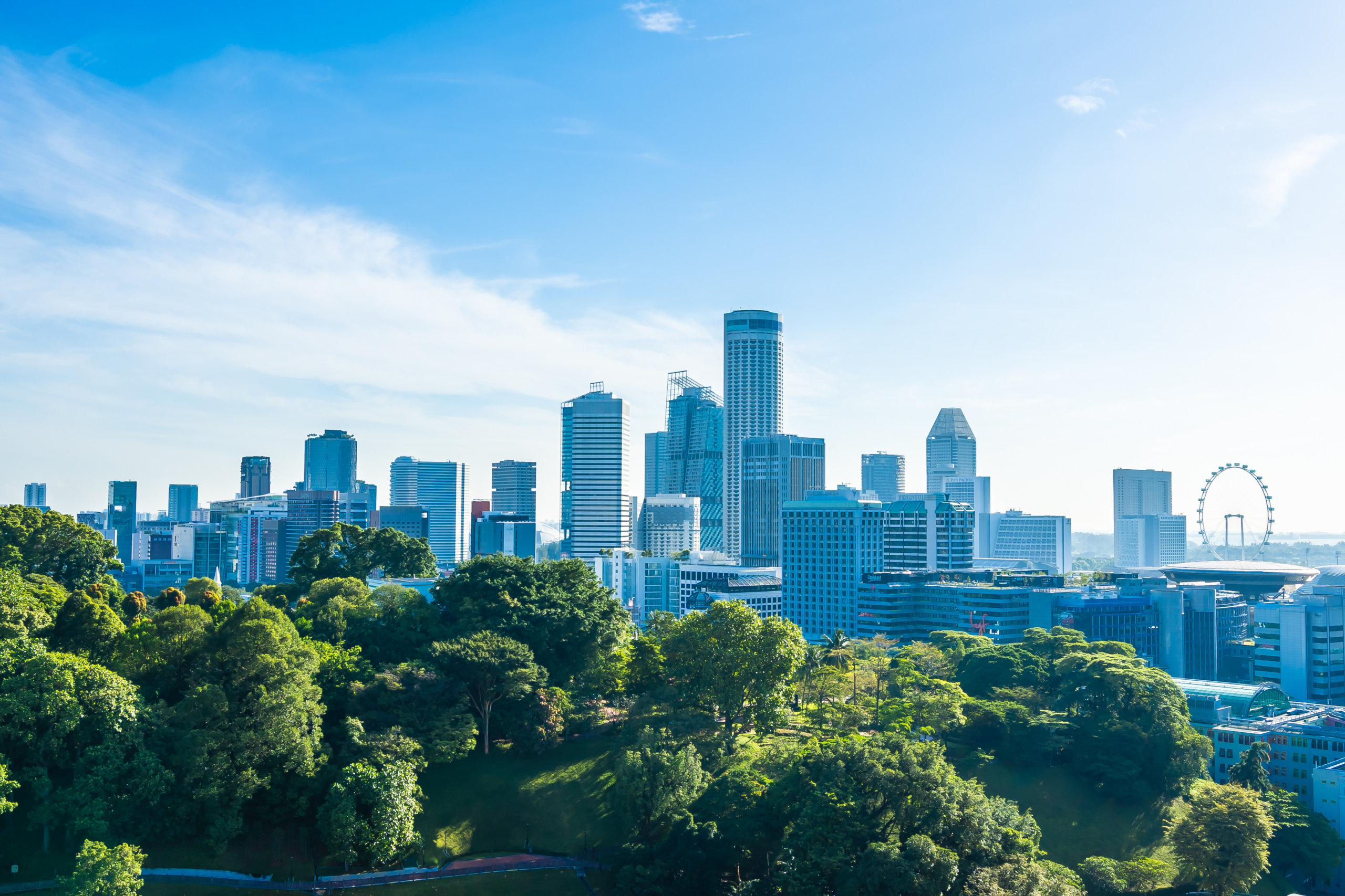 prédio, edifício, skyline